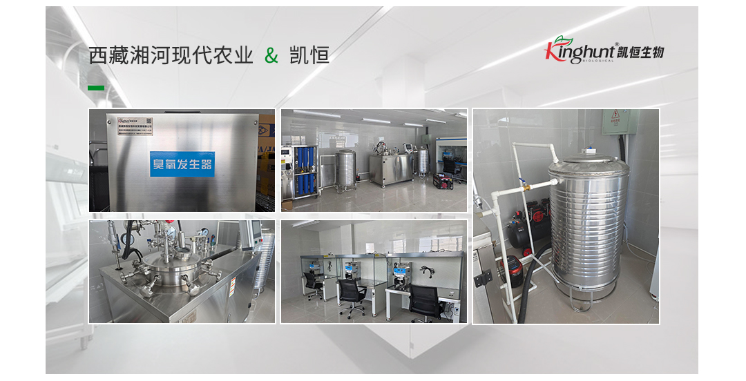官网案例展示2.jpg