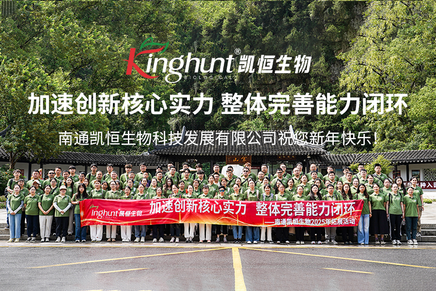 1767488708319441.jpg 总结11.jpg